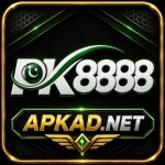 PK8888 Game