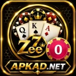 ZEE9 Game