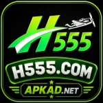H555 Game