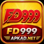 FD999 Game