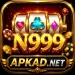 N999 Game