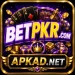 BETPKR Game