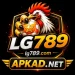 LG789 Game
